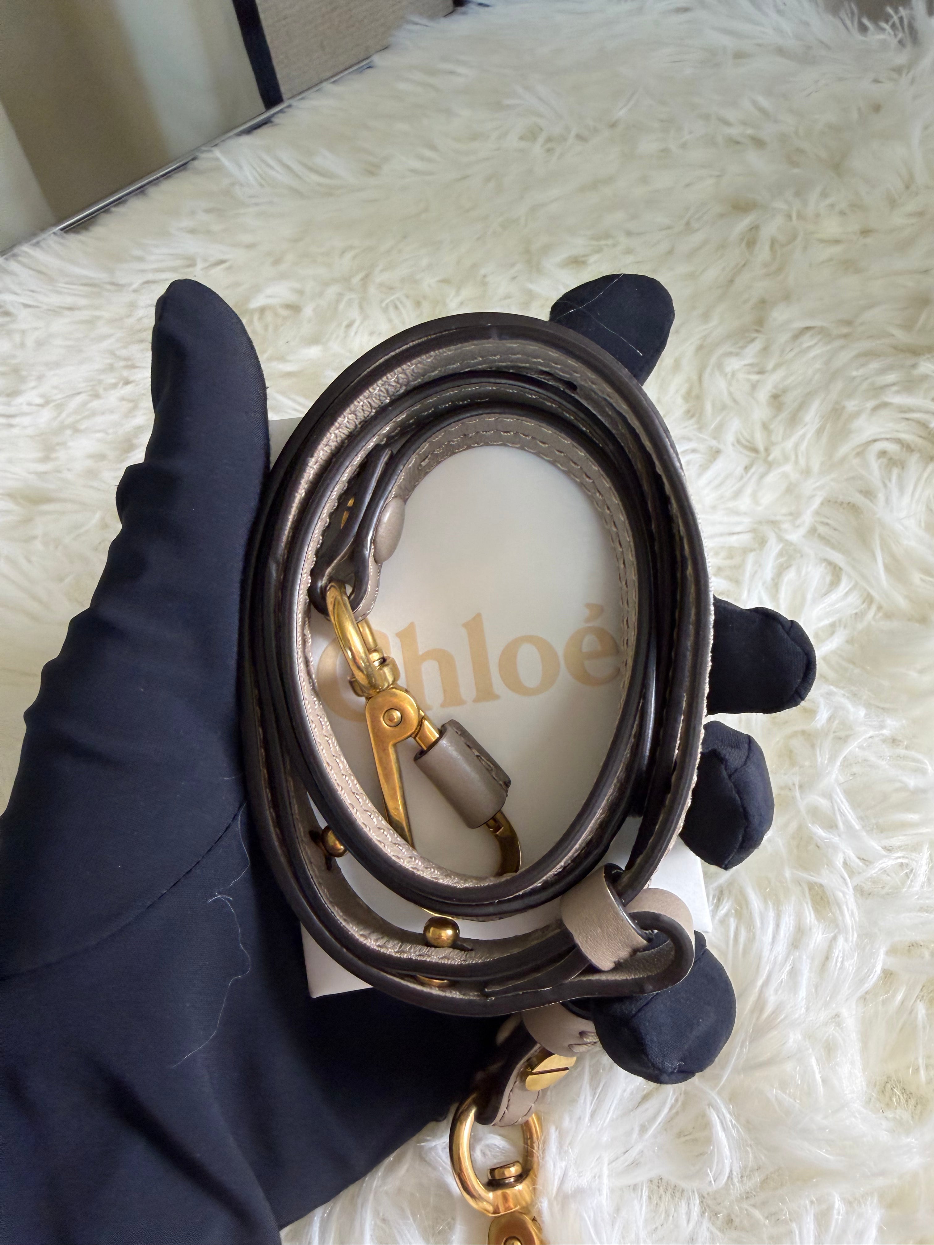Borsa Chloé Nile Minaudiere in Pelle Grigia
