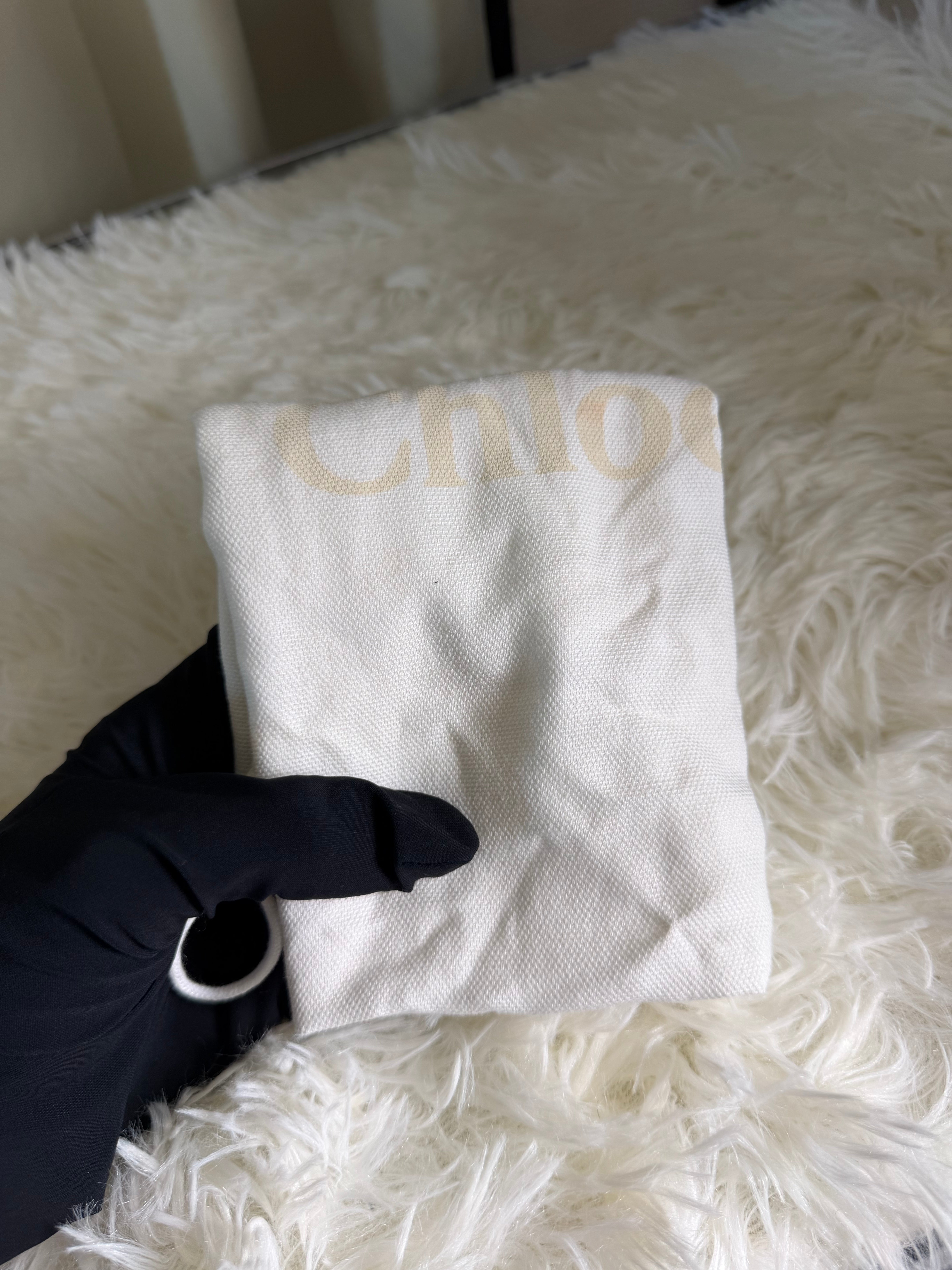 Borsa Chloé Nile Minaudiere in Pelle Grigia