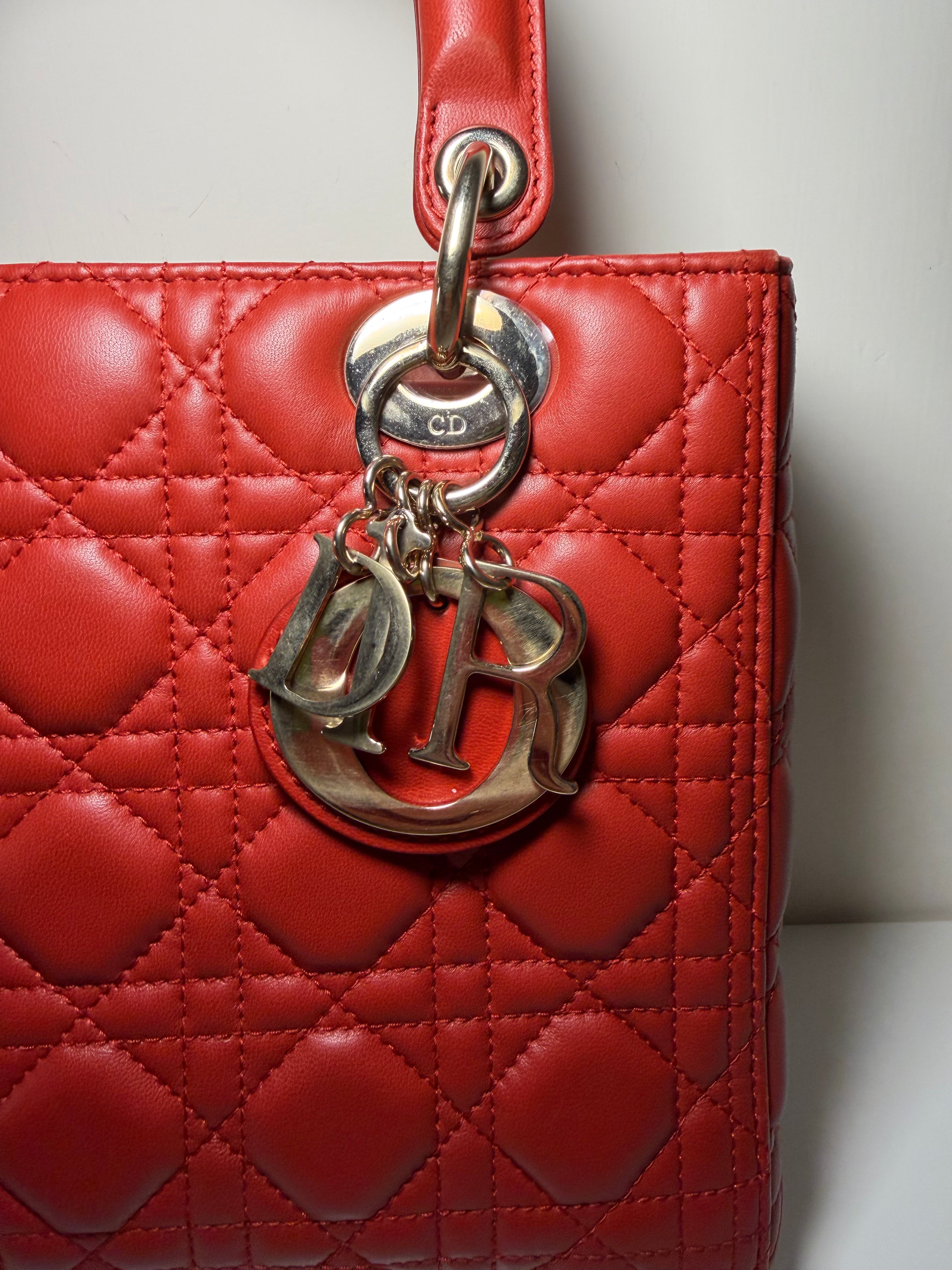 Borsa Lady Dior in Pelle