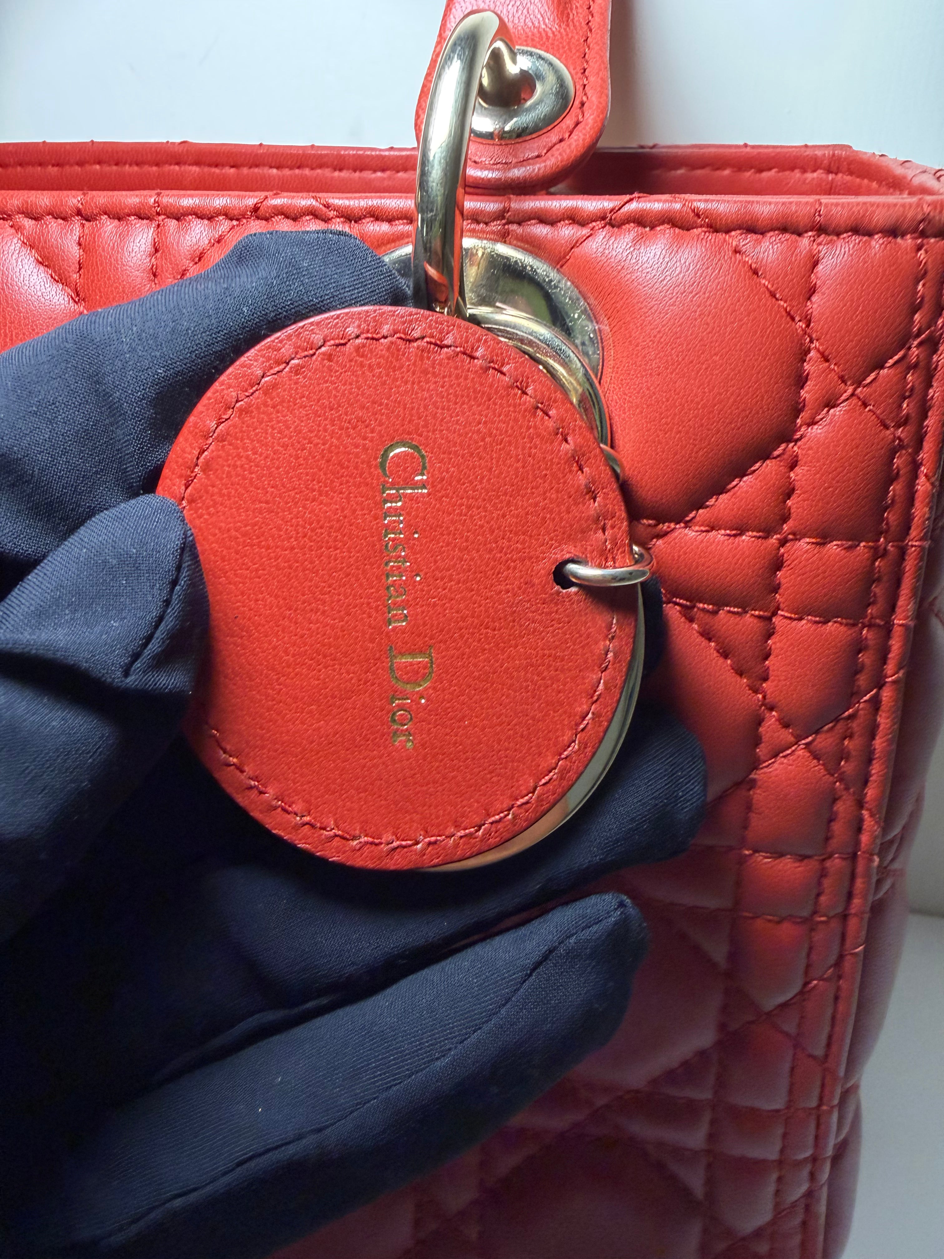 Borsa Lady Dior in Pelle