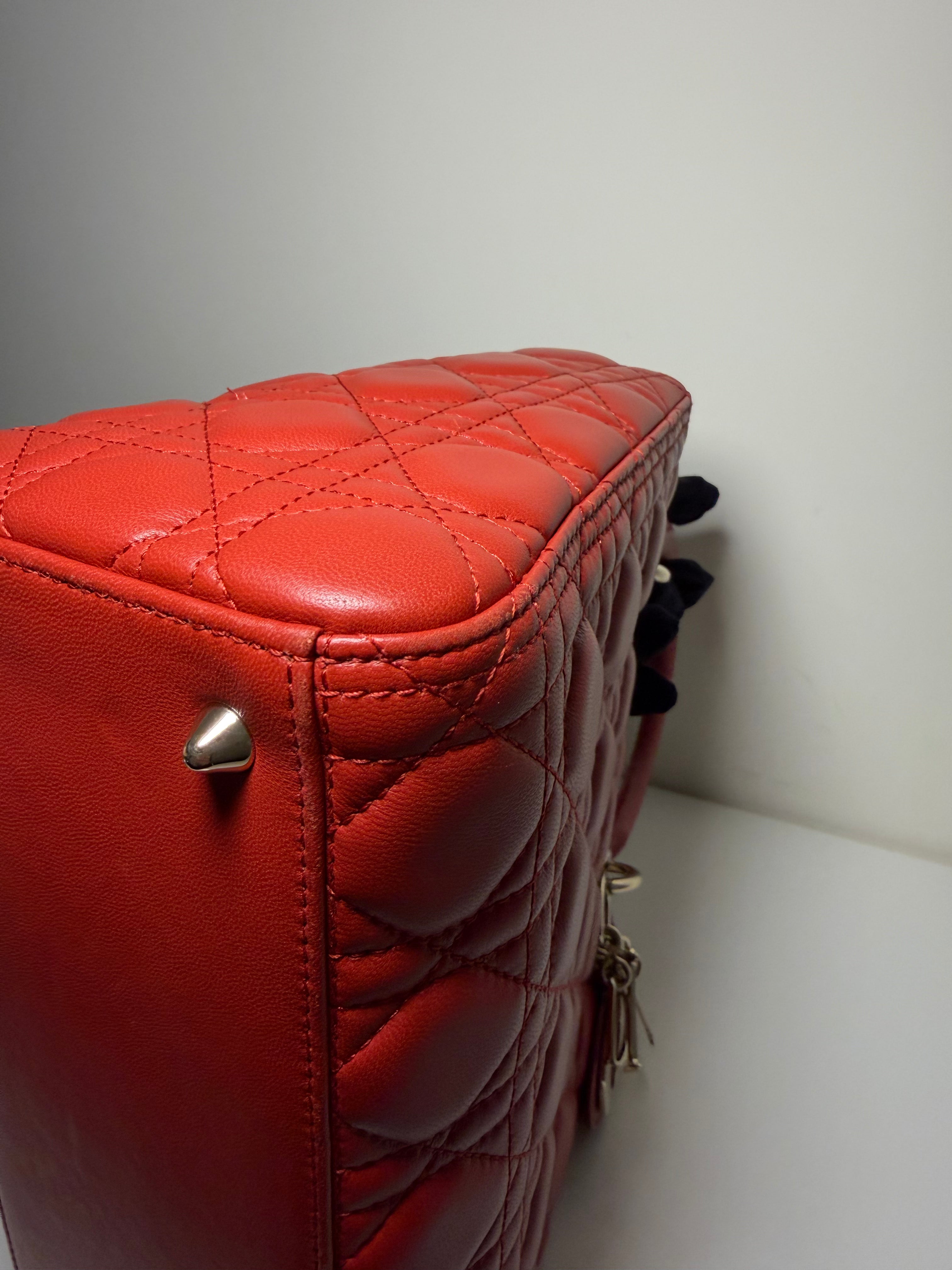 Borsa Lady Dior in Pelle