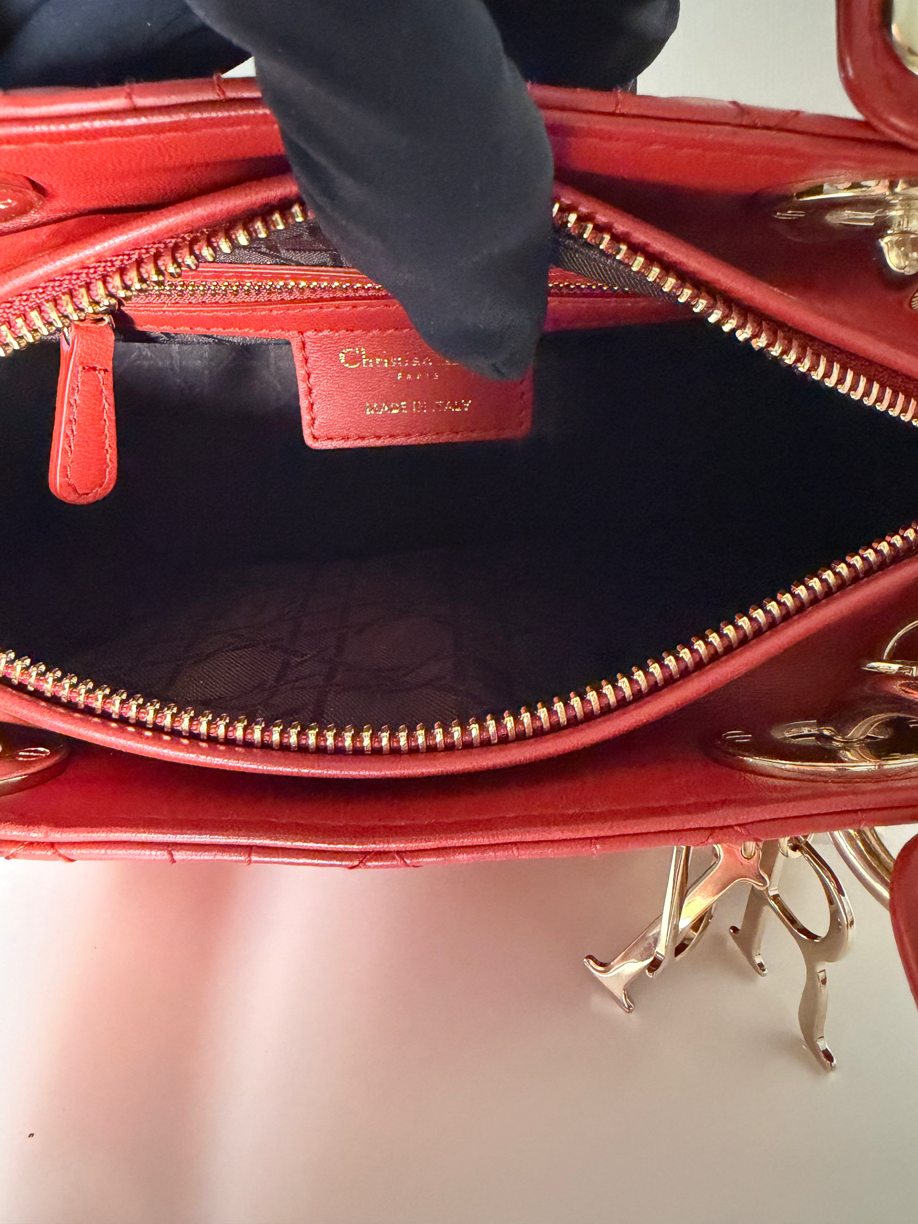 Borsa Lady Dior in Pelle