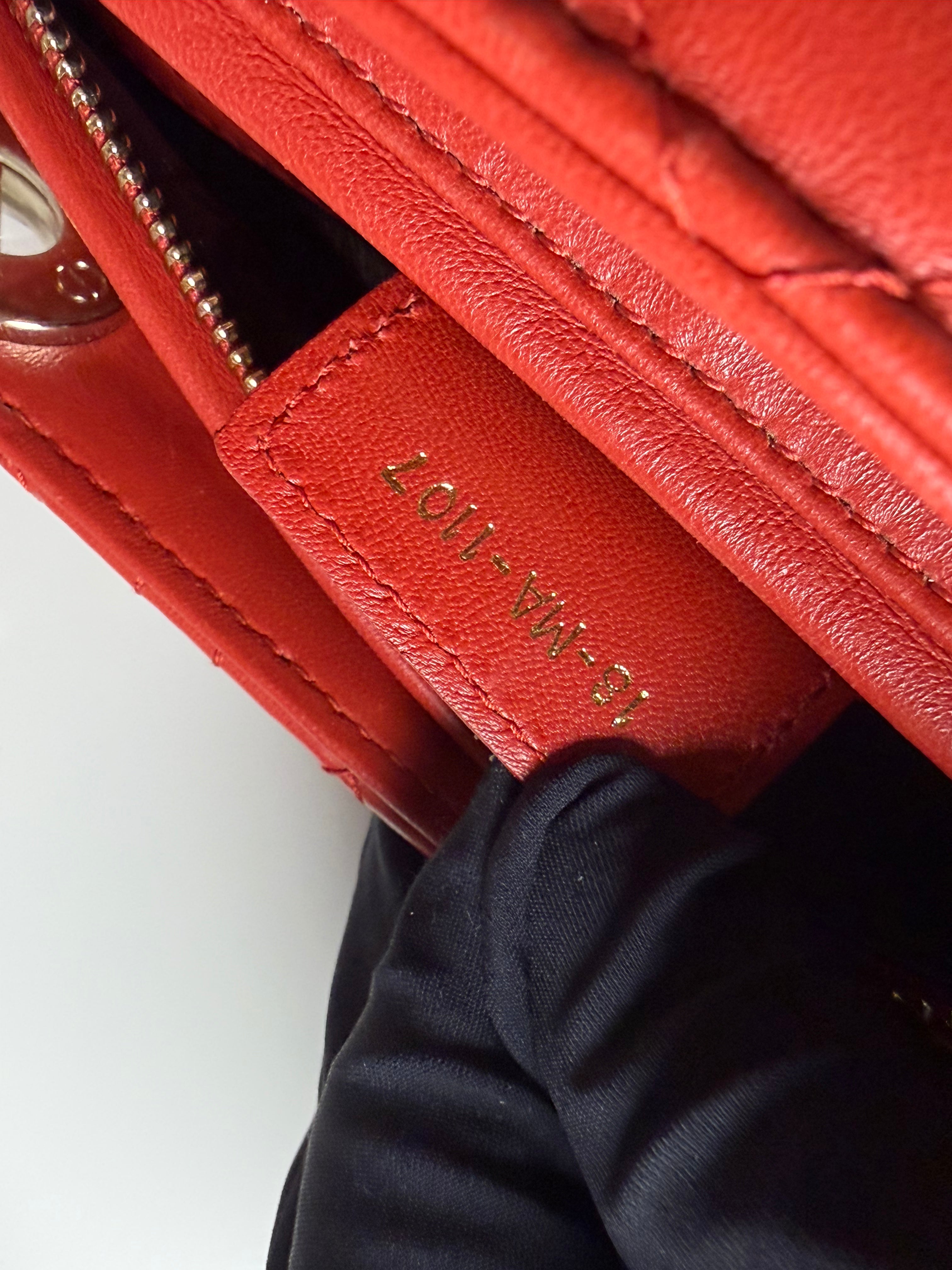 Borsa Lady Dior in Pelle