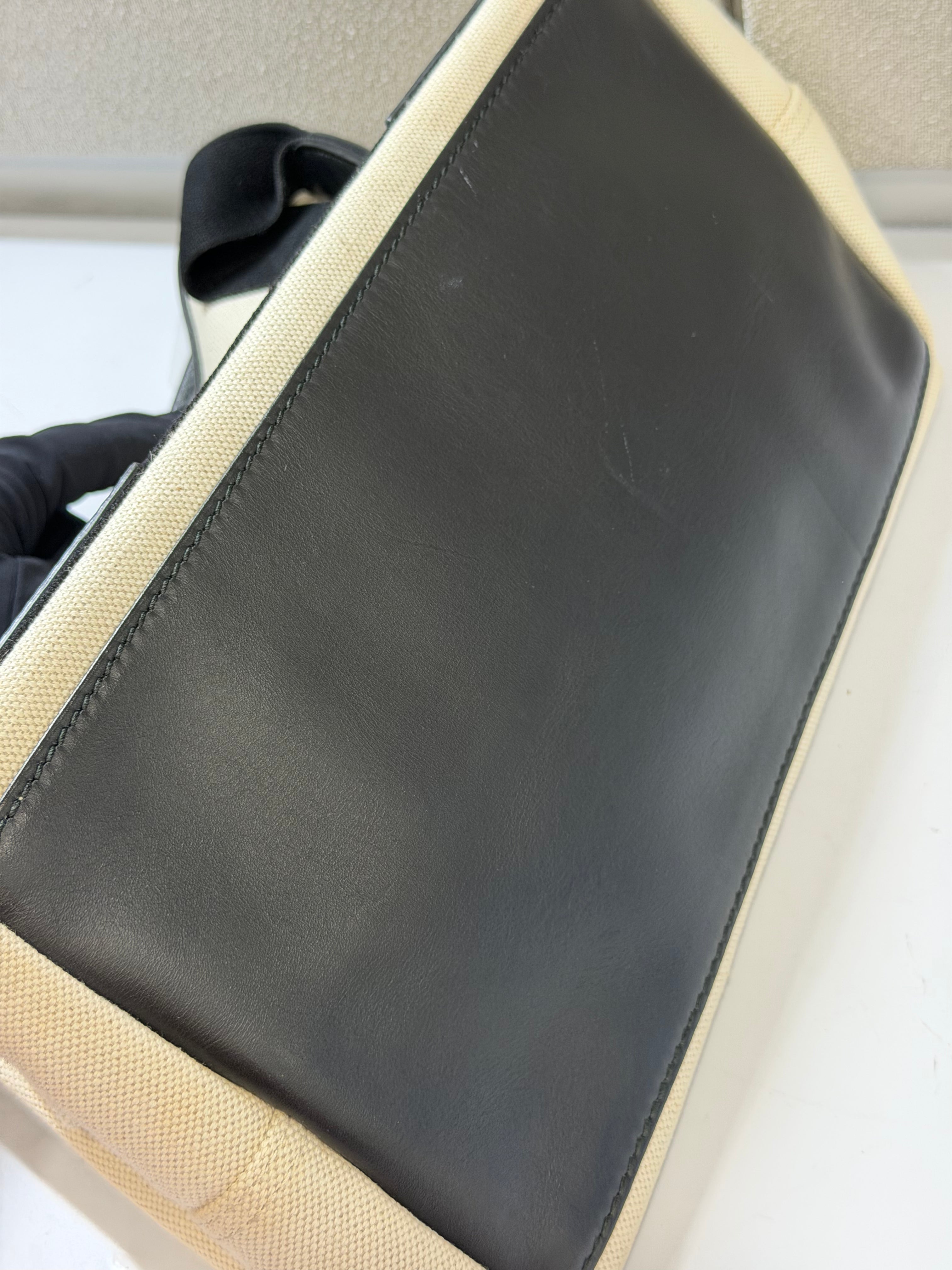 Borsa Balenciaga Tote Cabas Piccola