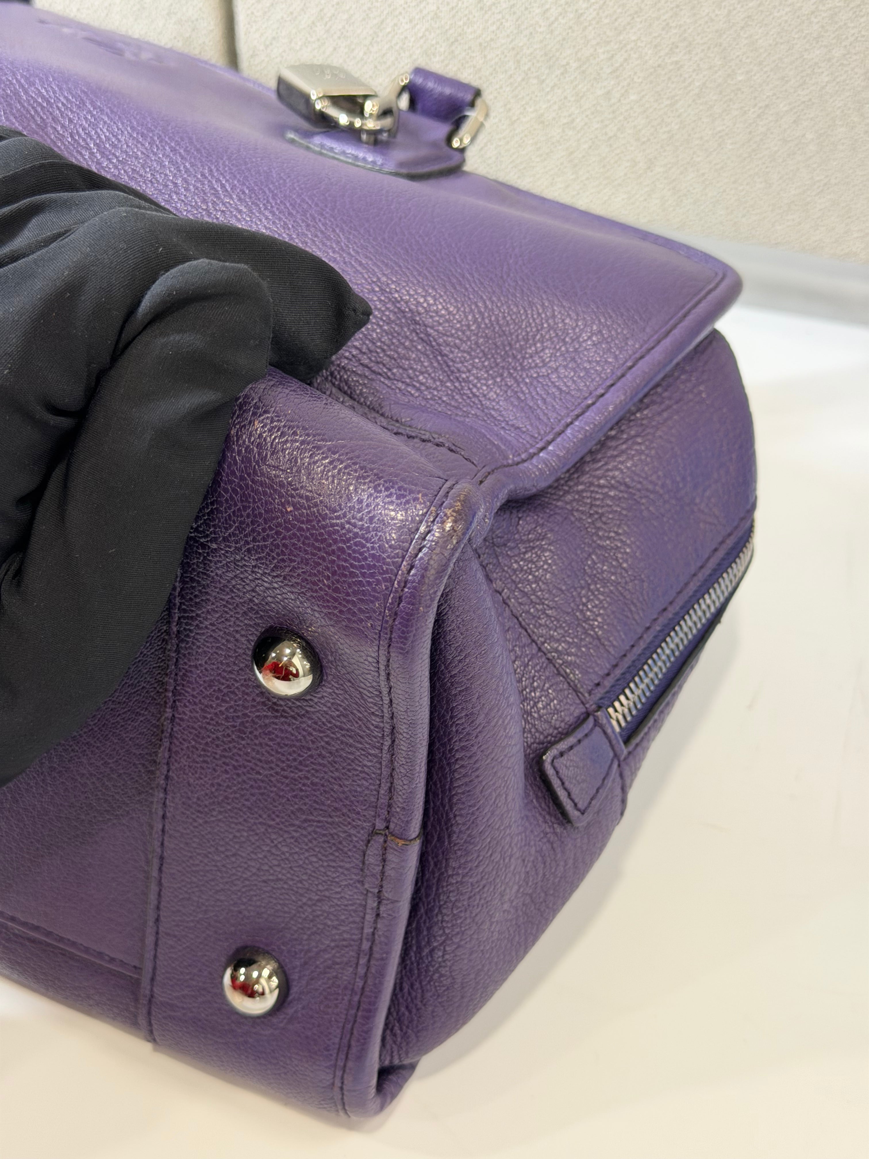 Borsa Loewe Amazona in Pelle Viola