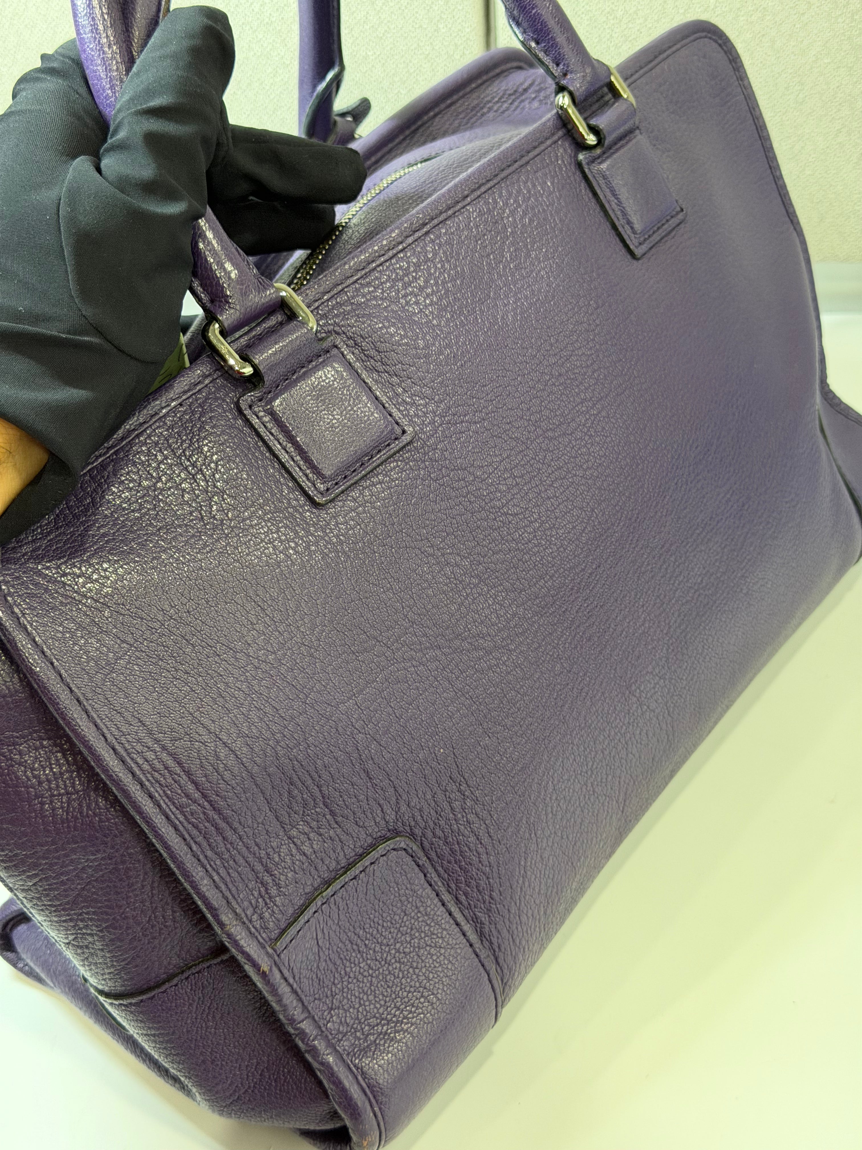 Borsa Loewe Amazona in Pelle Viola