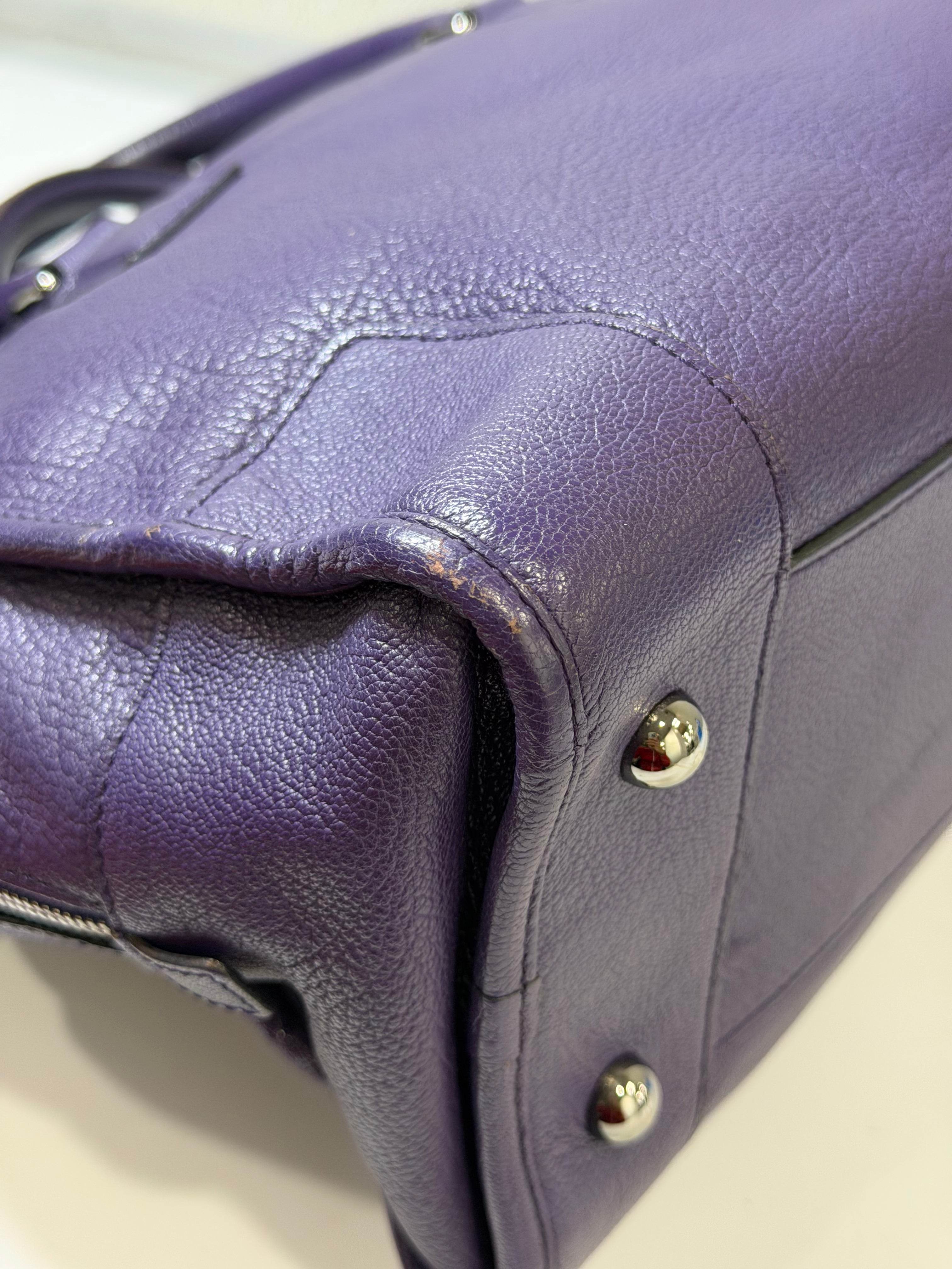 Borsa Loewe Amazona in Pelle Viola