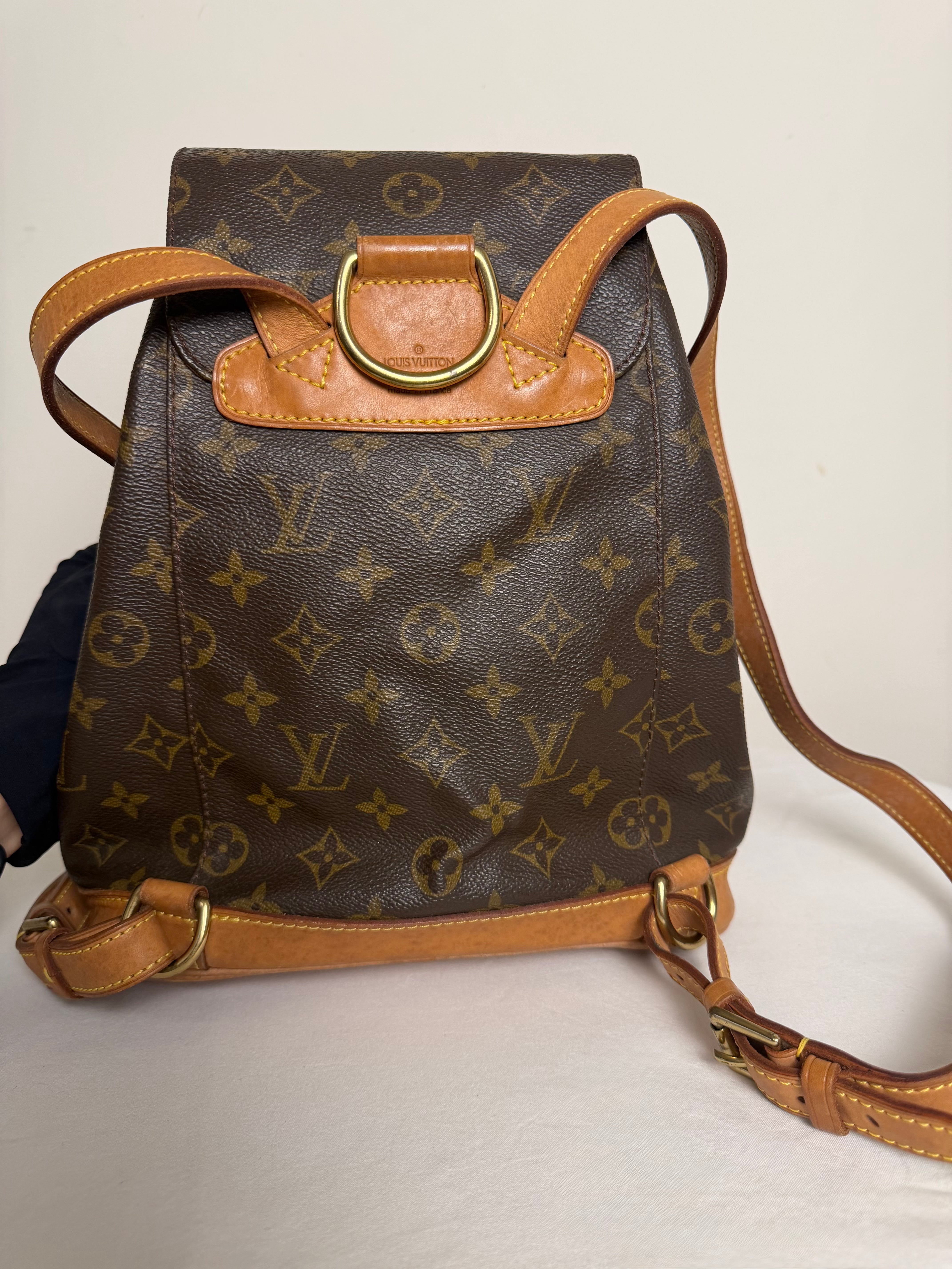 Louis Vuitton Montsouris in tela Monogram