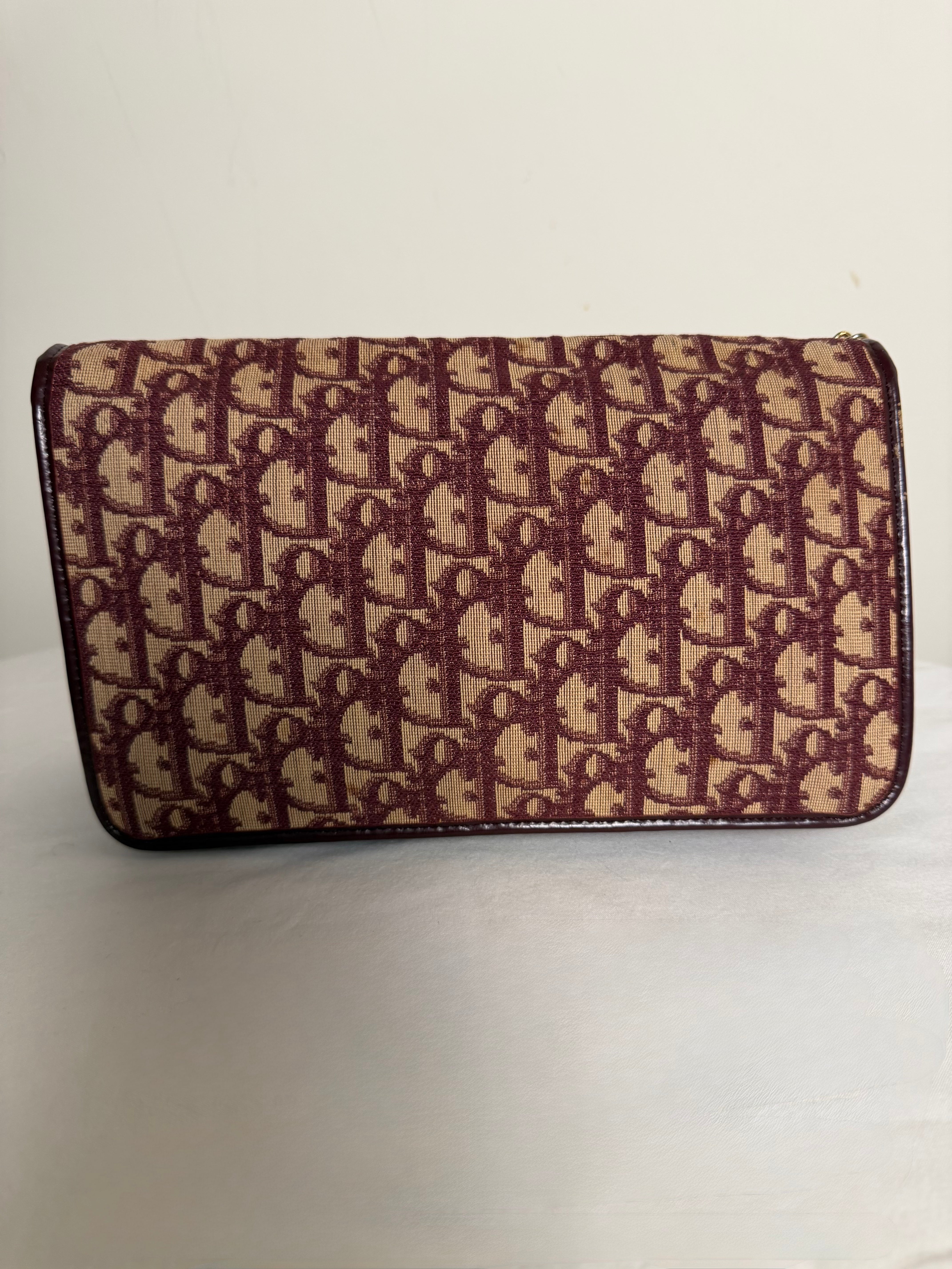 Christian Dior Trotter