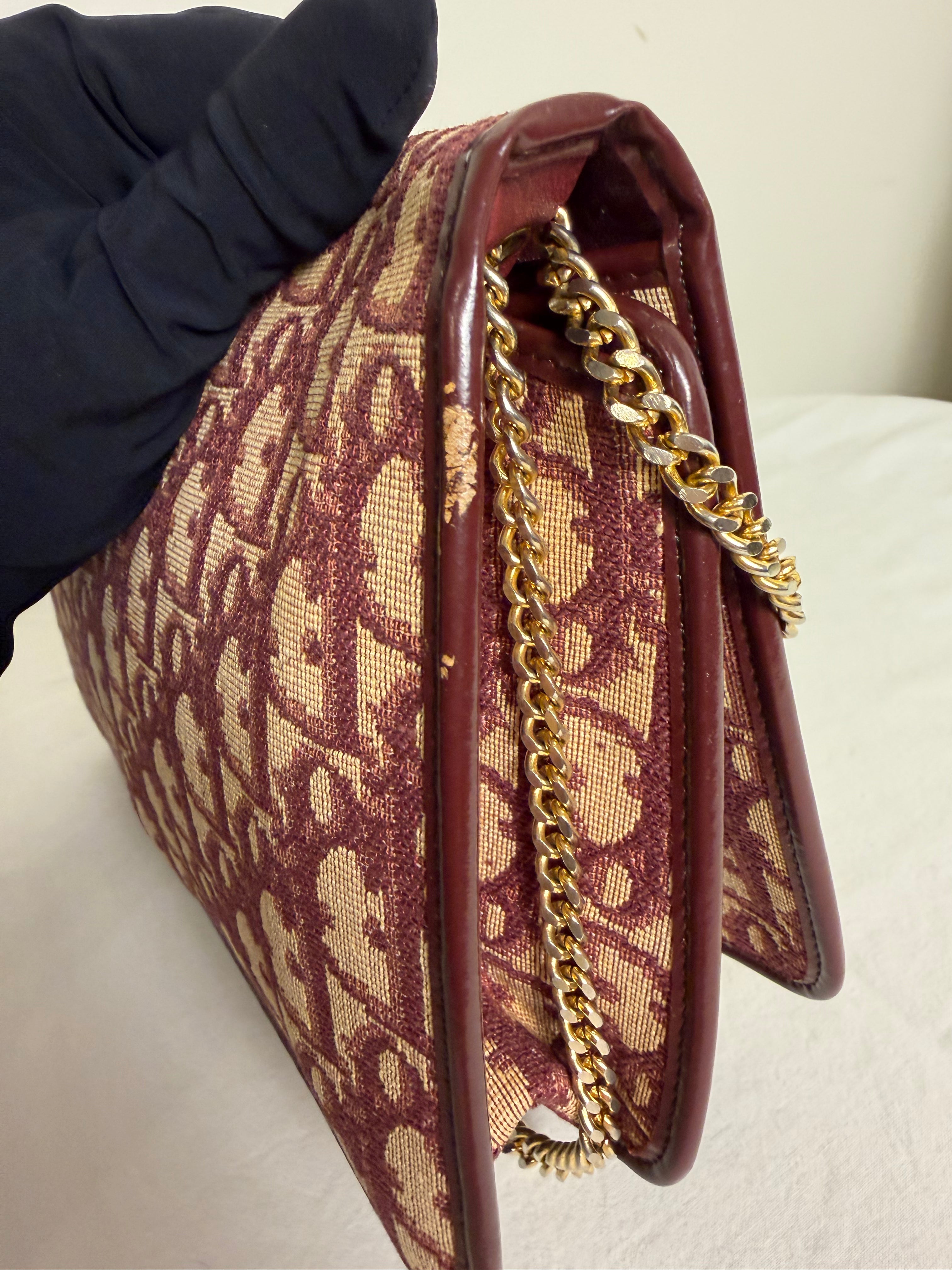 Christian Dior Trotter