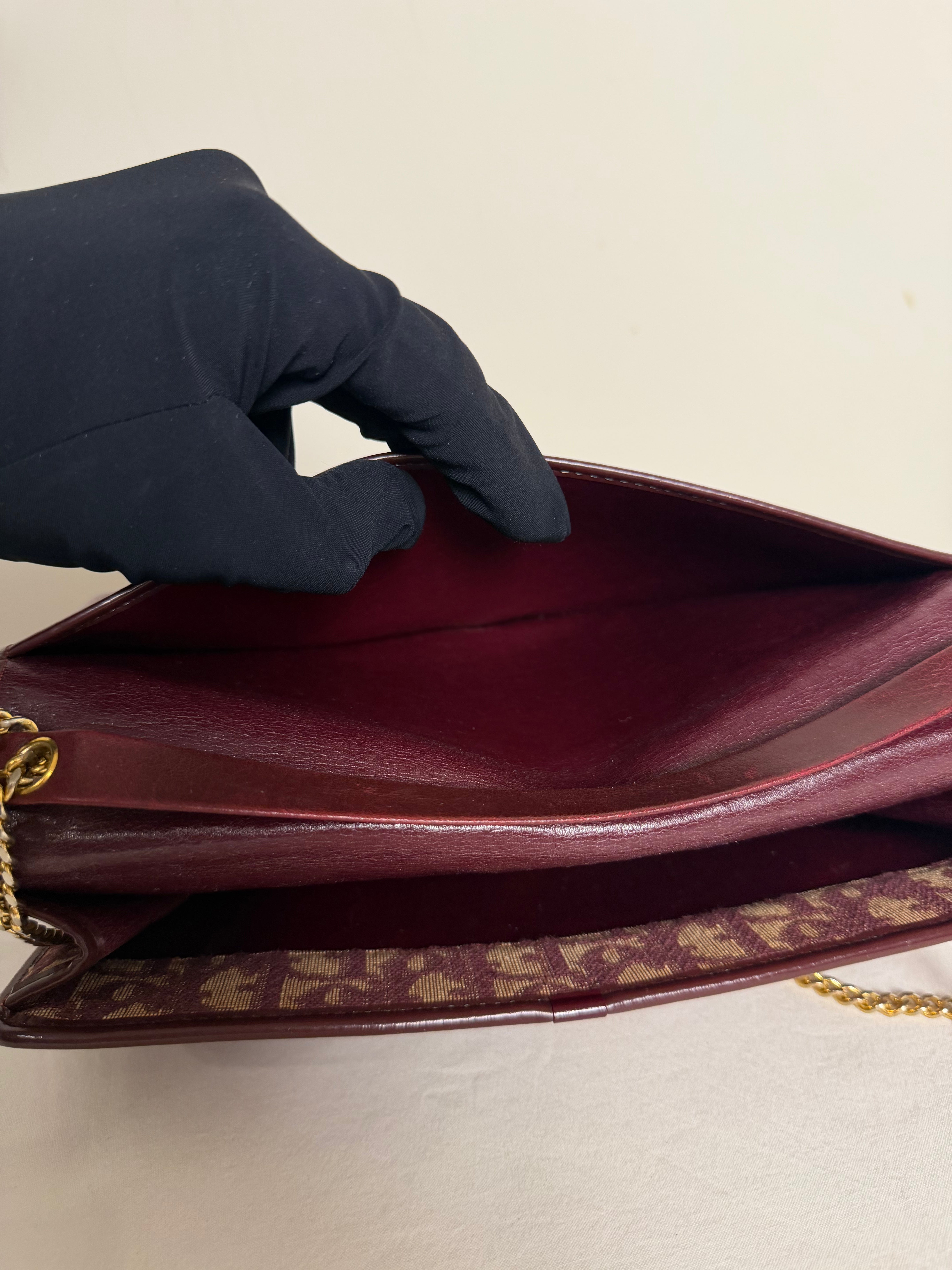 Christian Dior Trotter