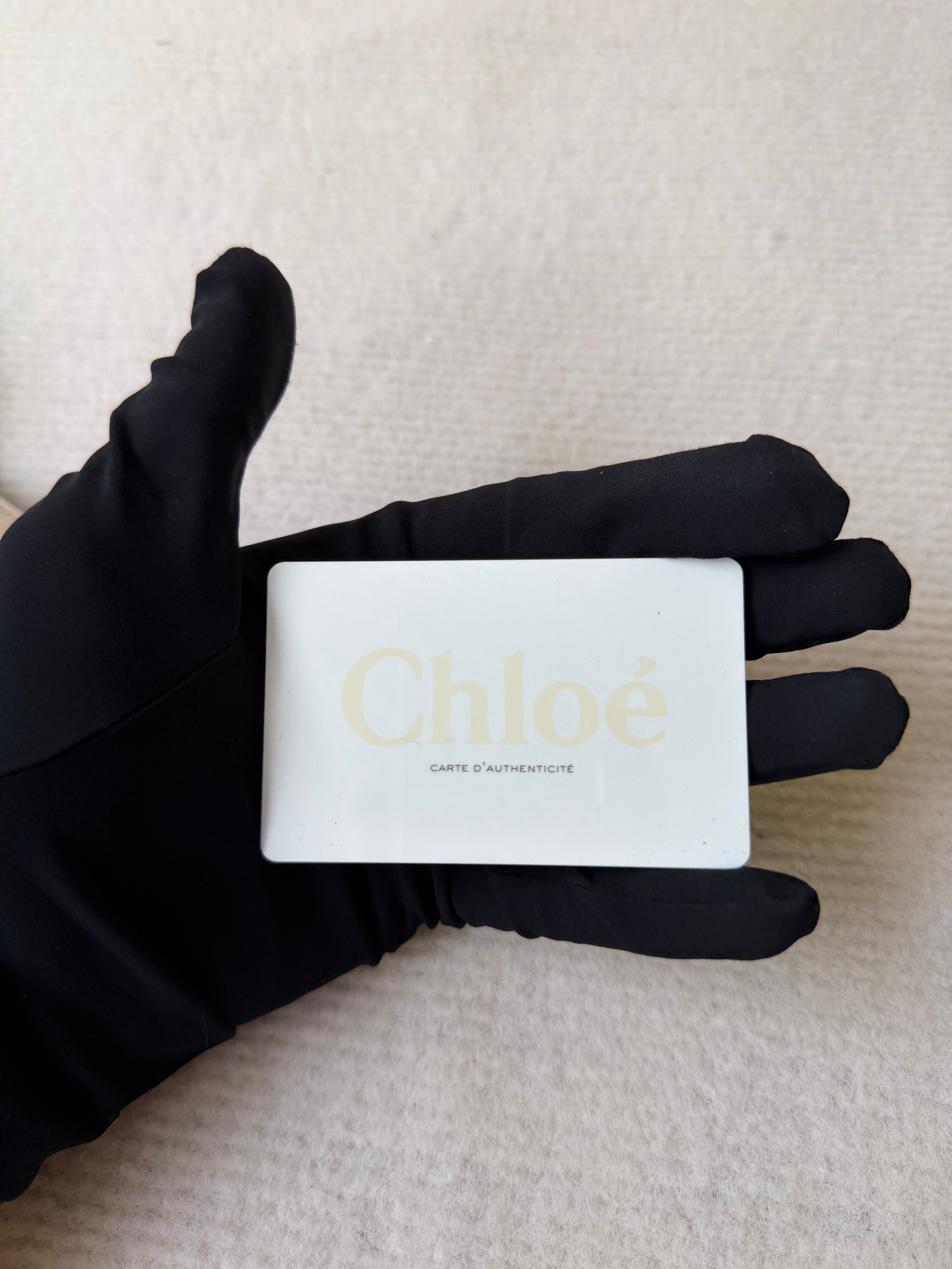 Portafoglio Lungo di Chloé in Pelle Beige