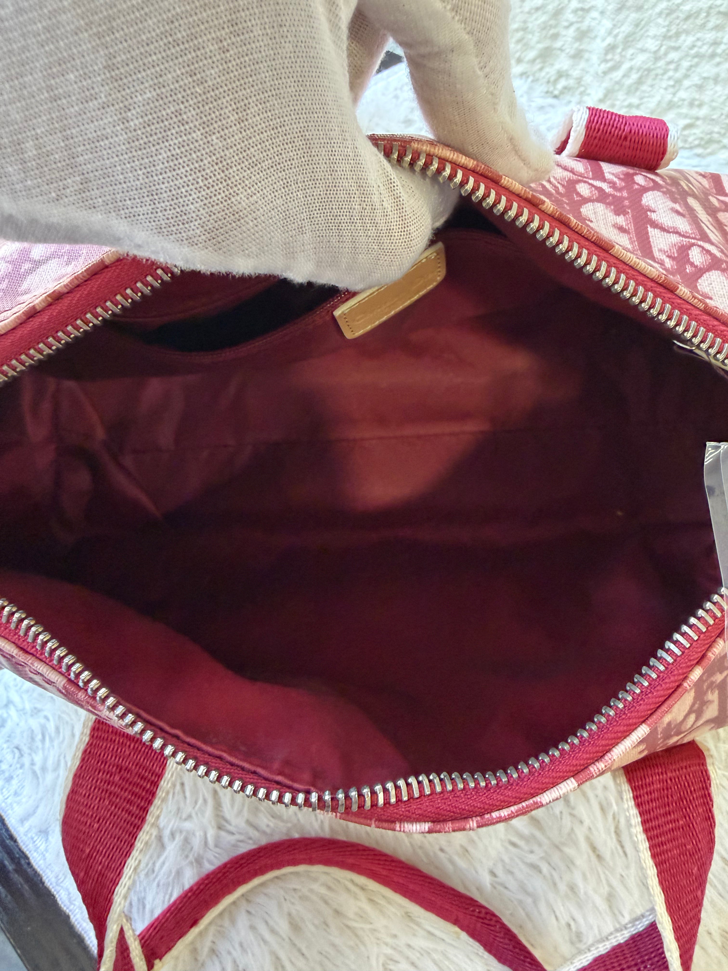 Borsa Christian Dior Boston Trotter