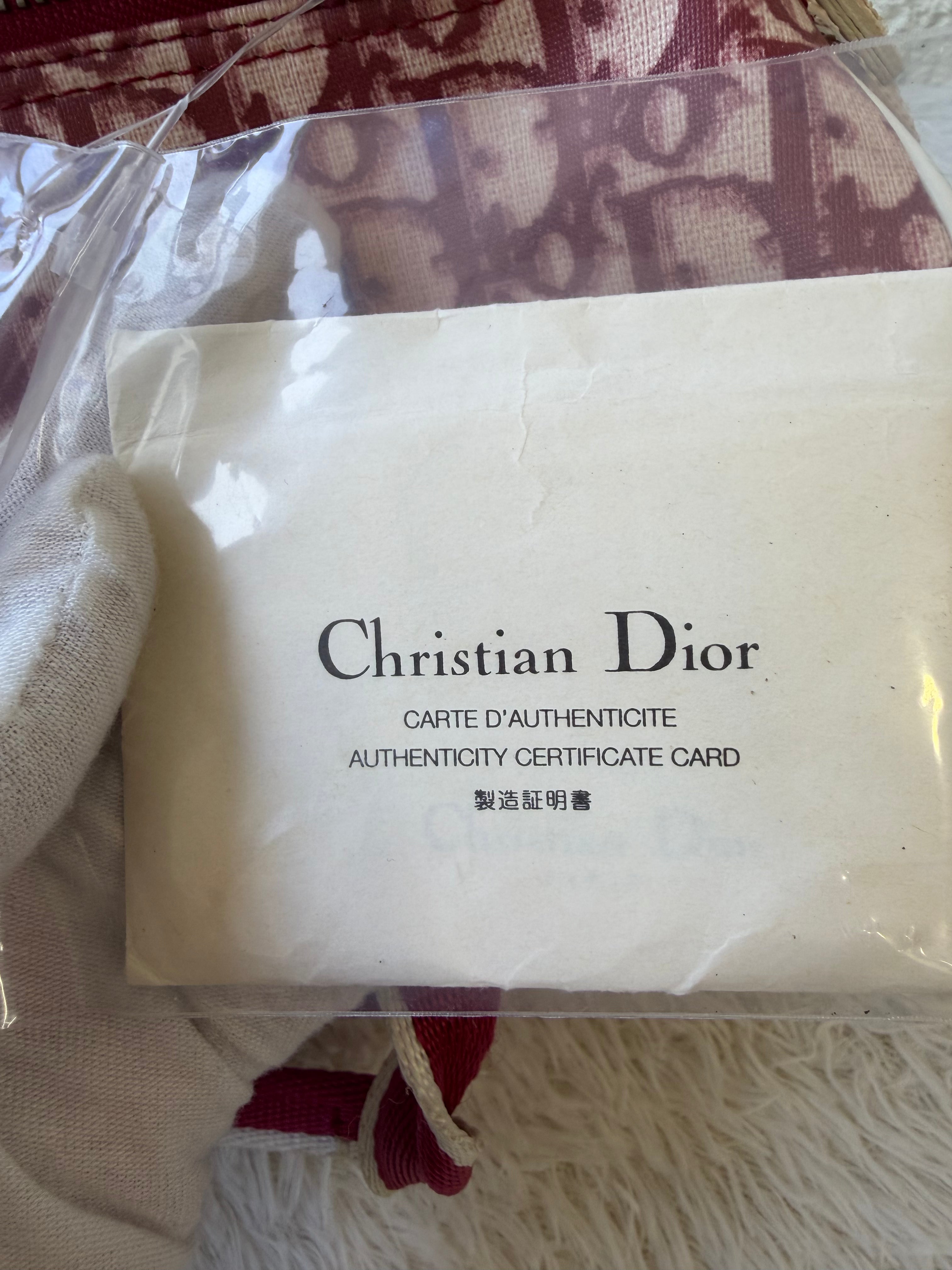 Borsa Christian Dior Boston Trotter